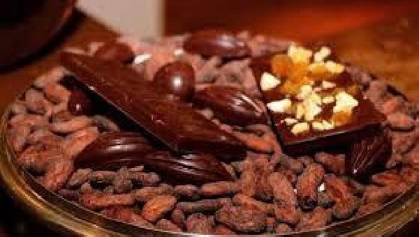 COMISSÃO DO SENADO APROVA PROJETO QUE OFICIALIZA ILHÉUS COMO CAPITAL NACIONAL DO CACAU E CHOCOLATE