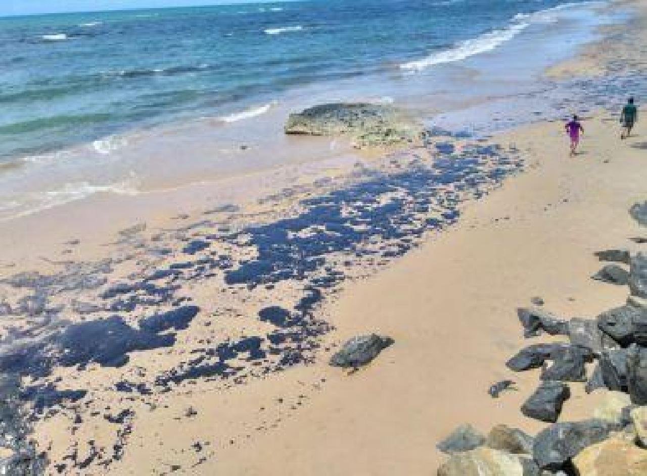 ÓLEO NO LITORAL: UM ANO DEPOIS, MARINHA CONCLUI INVESTIGAÇÃO SEM APONTAR CULPADOS OU ORIGEM ÓLEO NO LITORAL: UM ANO DEPOIS, MARINHA CONCLUI INVESTIGAÇÃO SEM APONTAR CULPADOS OU ORIGEM